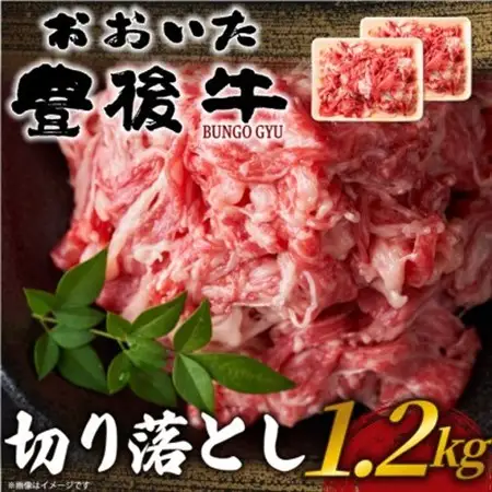 おおいた豊後牛切り落とし 1.2kg(600g×2P)(日出町)_肉 黒毛和牛 牛肉 _【配送不可地域：離島】【1571550】