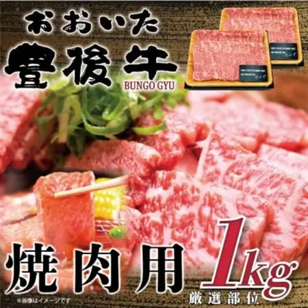 おおいた豊後牛焼肉用 1kg(500g×2P)(日出町)_肉 焼肉 牛肉 やきにく ヤキニク バーベキュー  肉 黒毛和牛 牛肉 _【配送不可地域：離島】【1571694】