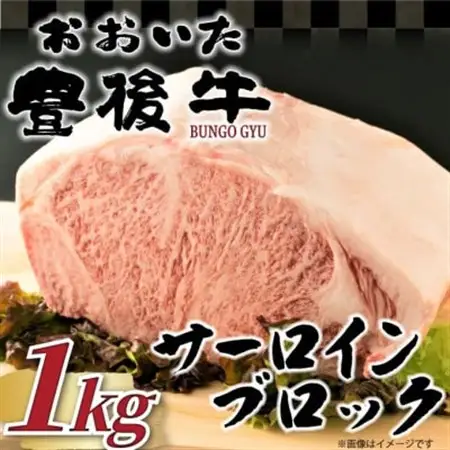 【厳選部位】おおいた豊後牛サーロインブロック(1kg)(日出町)_肉 ステーキ 牛肉 ビーフステーキ  肉 黒毛和牛 牛肉 _【配送不可地域：離島】【1571758】
