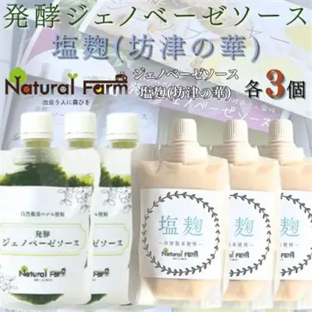 発酵ジェノベーゼソース＆塩麹　各3パックセット B5-12_調味料   _【配送不可地域：離島】【1619070】