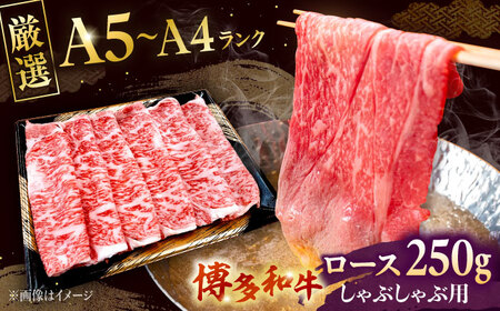 【お中元対象】数量限定 博多和牛 ロース しゃぶしゃぶ用 250g [ADBZ041] 牛肉 赤身 国産