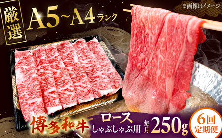【全6回定期便】【数量限定 博多和牛】ロース しゃぶしゃぶ用 250g 桂川町/株式会社チクゼンヤ [ADBZ043] 牛肉 赤身 国産 定期便
