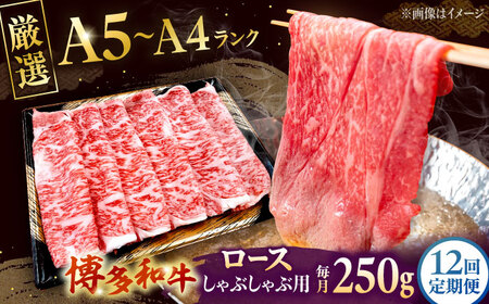 【全12回定期便】【数量限定 博多和牛】ロース しゃぶしゃぶ用 250g 桂川町/株式会社チクゼンヤ [ADBZ044] 牛肉 赤身 国産 定期便