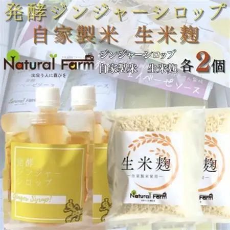 発酵ジンジャーシロップ＆生米麹　各2パックセット A7-18_調味料       穀物加工品 _【配送不可地域：離島】【1619481】