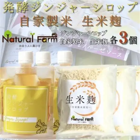 発酵ジンジャーシロップ＆生米麹　各3パックセット B4-5_  穀物加工品   調味料   _【配送不可地域：離島】【1619483】