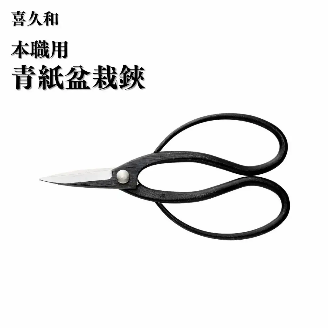 本職用青紙盆栽鋏 盆栽 盆栽道具 はさみ ハサミ 鋏 [喜久和] 【019S113】