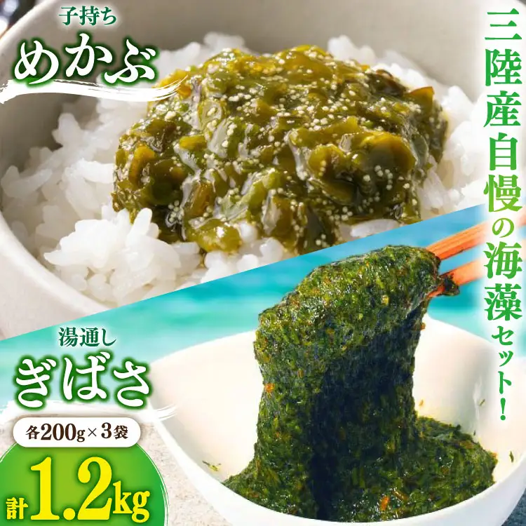 海藻 とんとん めかぶ 湯通し ぎばさ 各3本 セット [南三陸さんさんマルシェ 宮城県 南三陸町 m304amh600079]