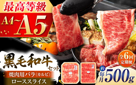 6回定期くまもと黒毛和牛「藤彩牛」2種の食べ比べ計500g 和牛 BHAD037