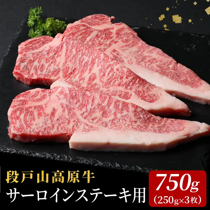 赤身が旨い 段戸山高原牛 サーロイン ステーキ用 3枚（250g×3） 750g 蓬莱泉 国産牛 ブランド牛 牛肉 -075