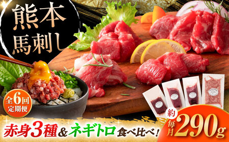 【全6回定期便】【熊本特産】赤身馬刺し3種とネギトロの詰め合わせ 3891[BHAD067]