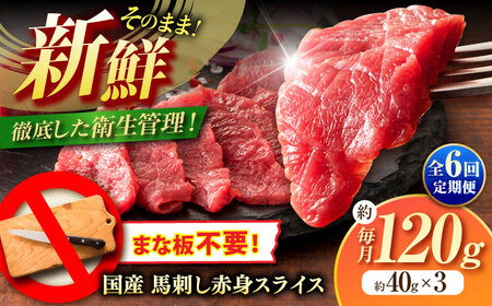 全6回定期便まな板不要! フジチク 切れてる 国産馬刺し 3P計約120gBHAD103 馬刺し