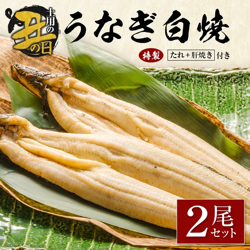 【土用の丑の日】うなぎ白焼2尾セット 計362g以上 肝焼き付 中村商店