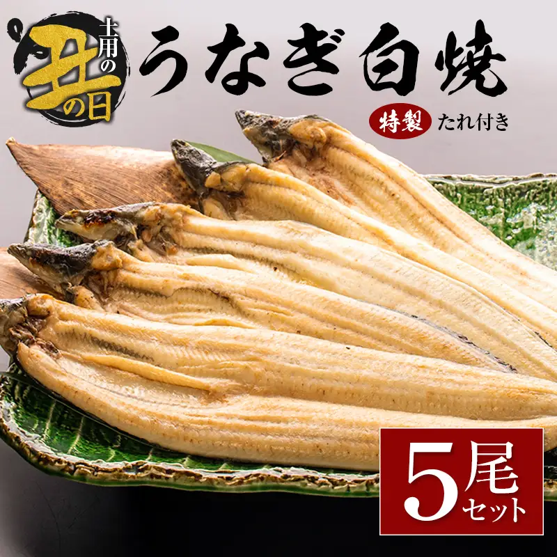 【土用の丑の日】うなぎ白焼5尾セット 計905g以上 中村商店