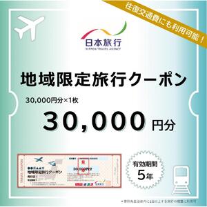 千葉県浦安市　日本旅行 　地域限定旅行クーポン30,000円分