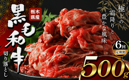 【定期便6回】栃木県産牛 黒毛和牛 切り落とし 500g | 栃木県 下野市