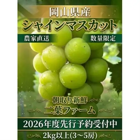 【2026年先行受付】岡山のぶどう(シャインマスカット)2kg(3～5房)【配送不可地域：離島】【1617939】