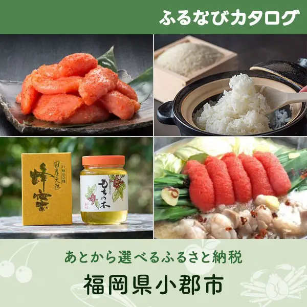 【有効期限なし！後からゆっくり特産品を選べる】福岡県小郡市カタログポイント