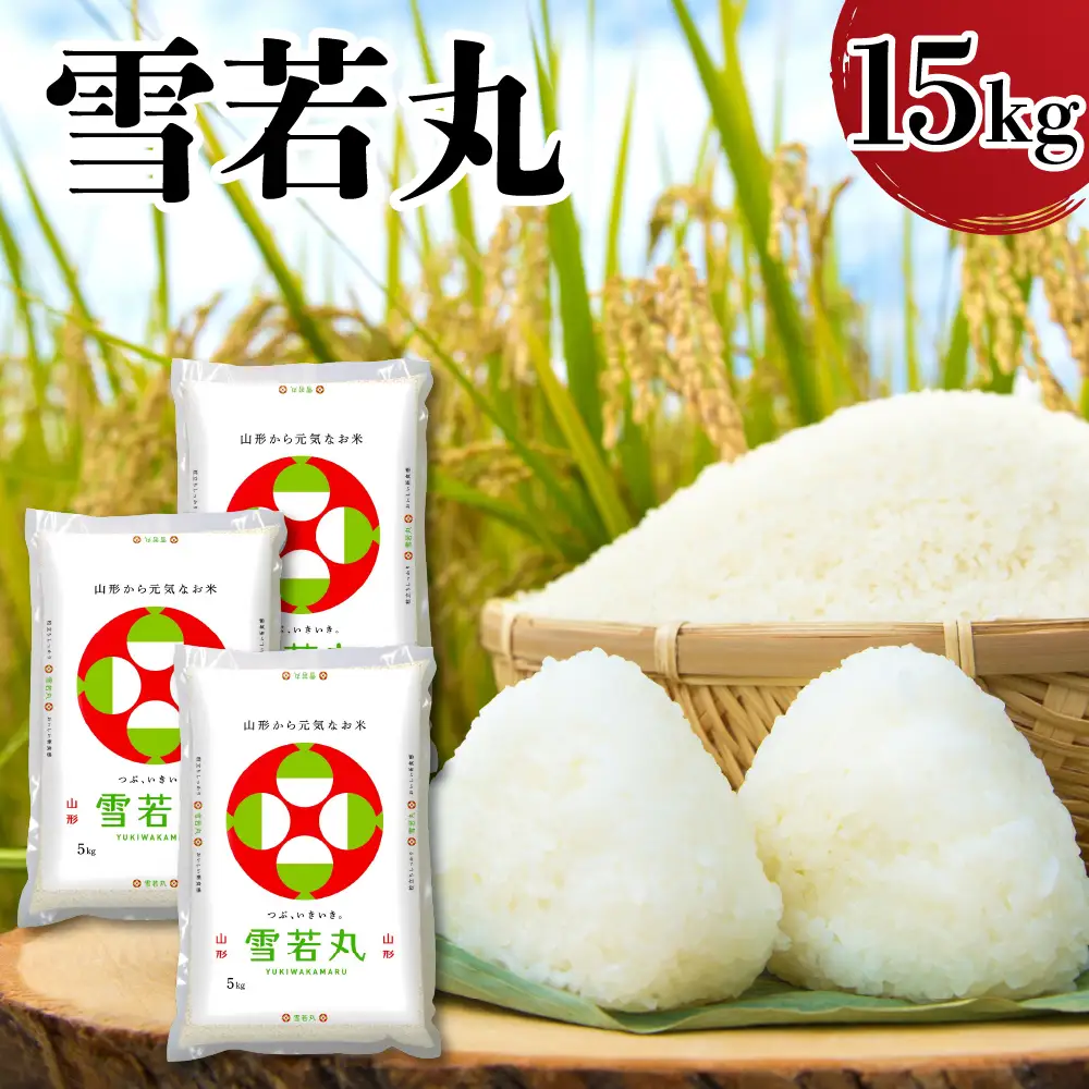 令和7年産 山形県産 雪若丸 15kg 精米 雪若丸