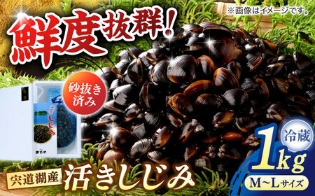 しじみ 砂抜き不要！宍道湖産 活ヤマトシジミ 生しじみ 1kg 島根県松江市/株式会社漁師村[ALDN005] しじみ しじみ