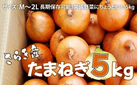 予約受付 たまねぎ 5kg さらき産【2026年7月発送開始】令和8年産 国産 玉ねぎ 玉葱 カレー シチュー 新鮮 フレッシュ オニオン サラダ BBQ 焼肉 野菜 Mサイズ Lサイズ 2Lサイズ 株式会社さらき  岩手県 北上市 B0363 