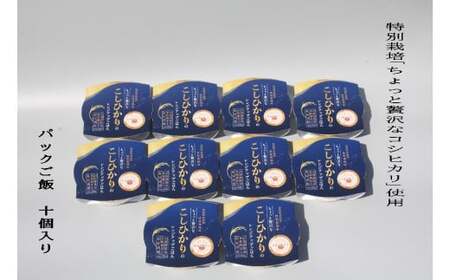 【令和7年産米】簡単便利！食味鑑定士板垣謹製 ちょっと贅沢なコシヒカリパックご飯150g×10個 1039037