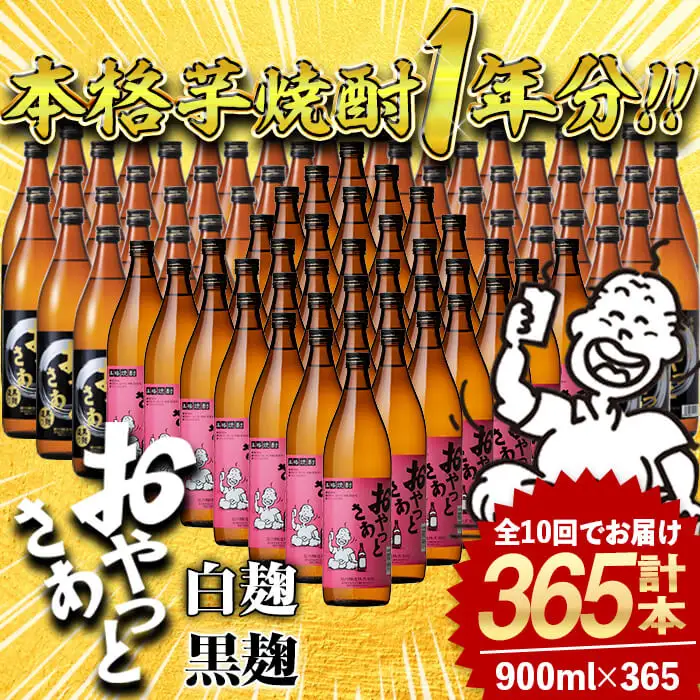 ≪ 本格芋焼酎 1年分！≫ 芋焼酎 365本 セット (全10回 / おやっとさあ 900ml×120本・おやっとさあ黒 900ml×245本) 定期便 【岩川醸造】T45