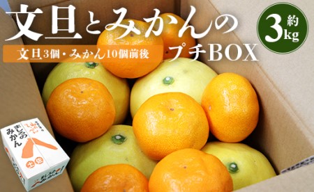文旦とみかんのプチBOX 約3kg - 果物 くだもの フルーツ 柑橘類 ぶんたん ブンタン ミカン 詰め合わせ つめあわせ セット 食べ比べ お楽しみ おいしい 特産品 ms-0088