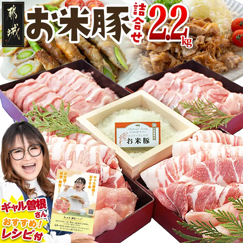 お米豚2.2kgセット_14-3101_(都城市) 豚肉 豚ロース 豚こま切れ 豚バラ肉 豚肩ロース ブランド豚 小分け スライス肉  ギャル曽根さんおすすめの豚肉返礼品