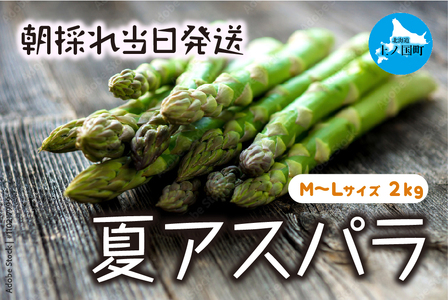【2026年夏発送】わかさ農園の朝採り夏アスパラ　M～L（2㎏）　朝採れ　農家直送　新鮮　グリーンアスパラ　夏野菜　旬野菜　シャキシャキ　とれたて　北海道産