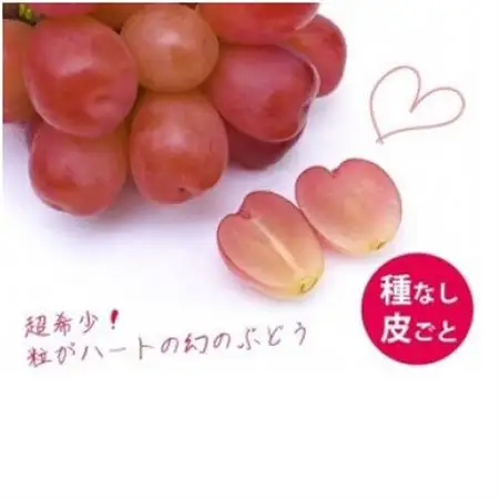 【2026年9月上旬より発送予定】マイハート1房 500g以上 ハート形のかわいい葡萄【配送不可地域：離島】【1613666】