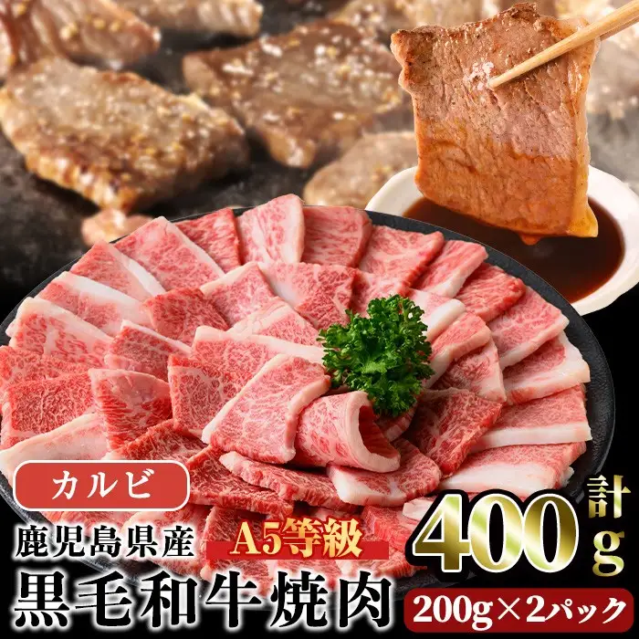 A5等級 鹿児島県産 黒毛和牛 カルビ 焼肉 (計400g・200g×2パック×1回)  黒毛和牛【LRプラスK】A749