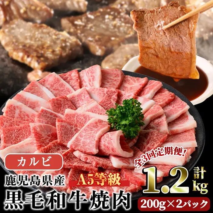 A5等級 鹿児島県産 黒毛和牛 カルビ 焼肉 (計1.2kg・200g×2パック×3回) 【LRプラスK】T44