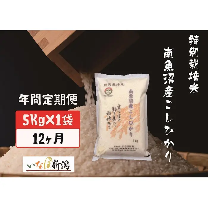 【令和7年度産】【定期配送】南魚沼産コシヒカリ特別栽培米 白米 5kg 全12回【定期便 銘柄米 ブランド米 精米 こしひかり コシヒカリ 魚沼産 新潟米 産地直送 お米 米 こめ コメ ご飯 御飯 ごはん】