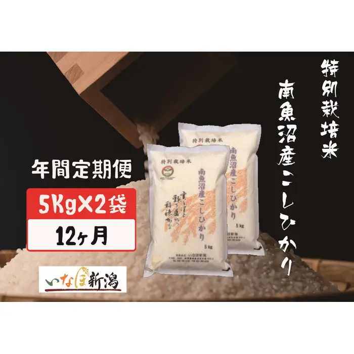 【令和7年産】【定期配送】南魚沼産コシヒカリ特別栽培米 白米 10kg 全12回【定期便 銘柄米 ブランド米 精米 こしひかり コシヒカリ 魚沼産 新潟米 産地直送 お米 米 こめ コメ ご飯 御飯 ごはん】
