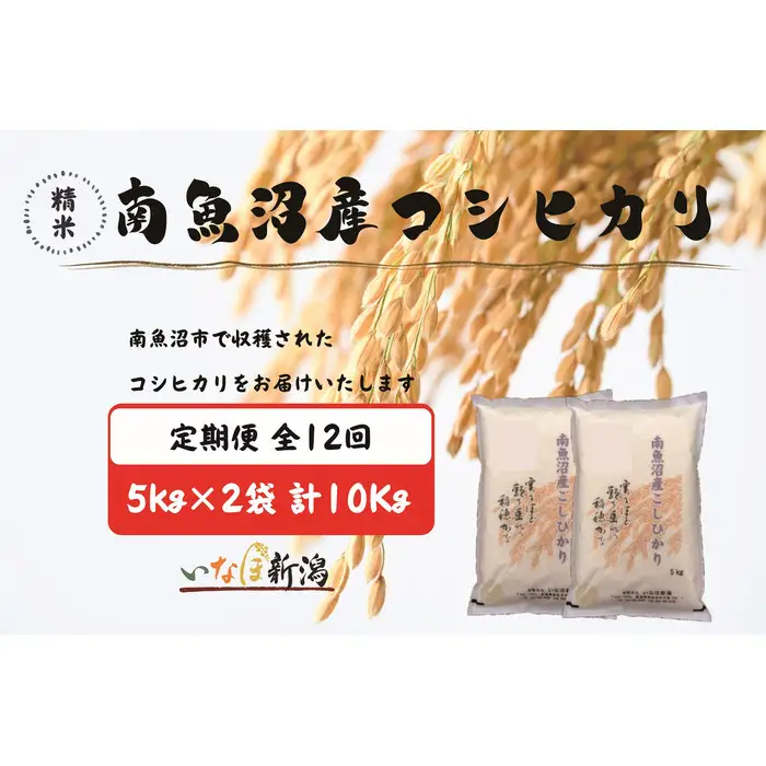 【令和7年産】【定期配送】南魚沼産コシヒカリ 白米 5kg×2袋(10kg) 全12回【定期便 銘柄米 ブランド米 精米 こしひかり コシヒカリ 魚沼産 新潟米 産地直送 お米 米 こめ コメ ご飯 御飯 ごはん】