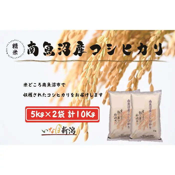 【令和7年産米】南魚沼産コシヒカリ 白米 10kg【銘柄米 ブランド米 精米 こしひかり コシヒカリ 魚沼産 新潟米 産地直送 お米 米 こめ コメ ご飯 御飯 ごはん】