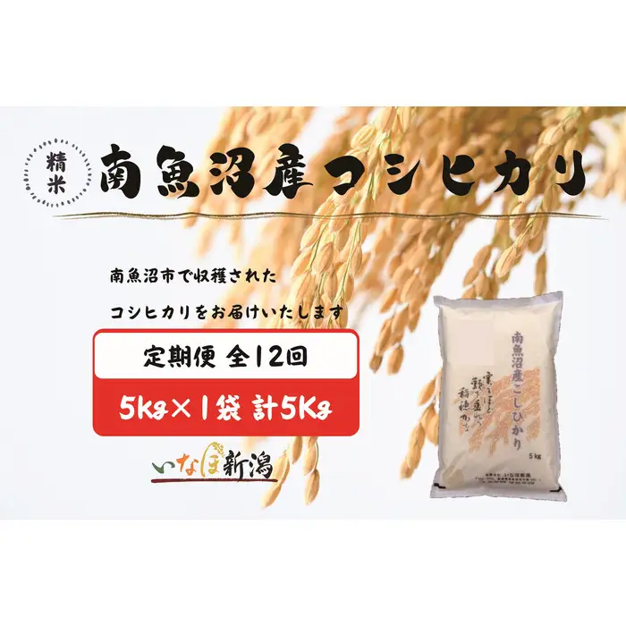 【令和7年産】【定期配送】南魚沼産コシヒカリ 白米 5kg 全12回【定期便 銘柄米 ブランド米 精米 こしひかり コシヒカリ 魚沼産 新潟米 産地直送 お米 米 こめ コメ ご飯 御飯 ごはん】