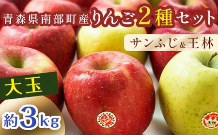 特選 (大玉) 青森産 完熟 りんご 約3kg サンふじ 王林 2種セット 【誠果園】 F21U-219