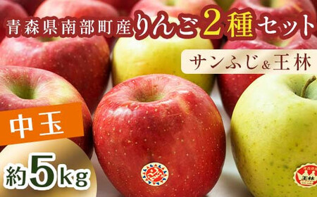 特 （中玉） 青森産 完熟 りんご 約5kg サンふじ 王林 2種セット 【誠果園】 F21U-222