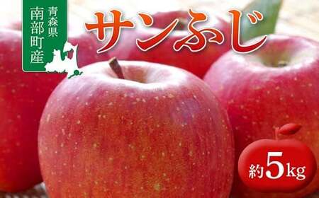 青森県 南部町産 りんご サンふじ 約5kg 【盛果園】 F21U-365