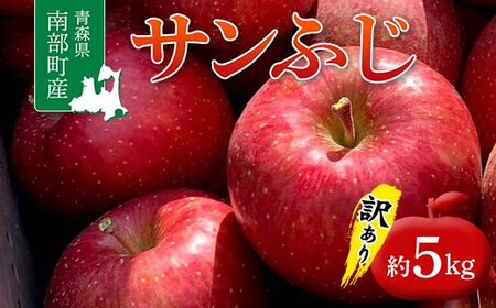 ≪訳あり≫ 青森県 南部町産 りんご サンふじ 約5kg 【盛果園】 F21U-368