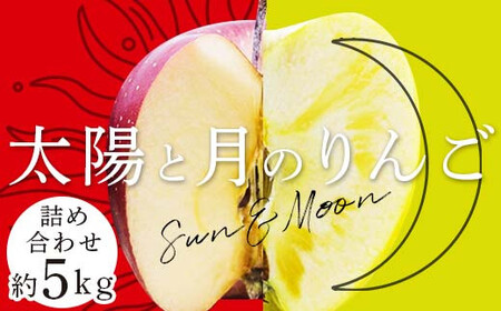 青森りんご ぐんま名月・サンふじ 月と太陽のりんご詰め合わせ 約5kg 【泉山果樹園】 2種セット F21U-065