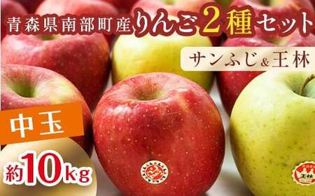 特 （中玉） 青森産 完熟 りんご 約10kg サンふじ 王林 2種セット 【誠果園】 F21U-223