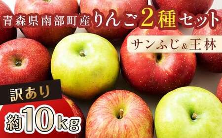 【訳あり】 青森産 完熟 りんご 約10kg サンふじ 王林 2種セット （中～大玉） 【誠果園】 F21U-227