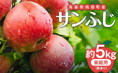 【訳あり】青森県南部町産りんご 家庭用サンふじ 約5kg【泉山果樹園】 F21U-402