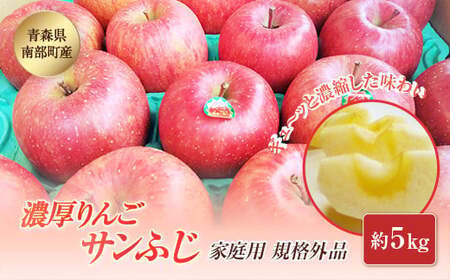 【訳あり】 青森県南部町産 濃厚りんご サンふじ （規格外品） 約5kg 【アグリーデザイン】 F21U-040