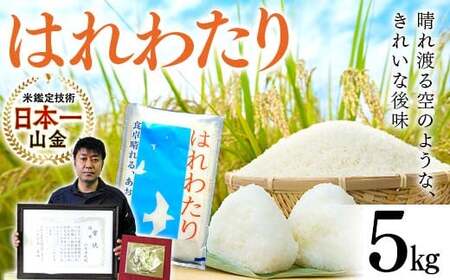 【コメ鑑定技術日本一の山金】 はれわたり 5kg （令和7年産） 特A 白米 精米 F21U-343