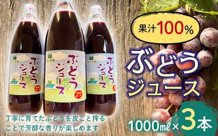 果汁100% ぶどうジュース (1000ml瓶×３本) 【森の菜園】 F21U-198