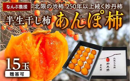 北限の渋柿 250年以上続く妙丹柿 半生干し柿 あんぽ柿 15玉 【なんぶ農援】 贈答可 干し柿 妙丹柿 半生 渋柿  柿 かき デザート フルーツ 果物 くだもの 果実 食品 F21U-118