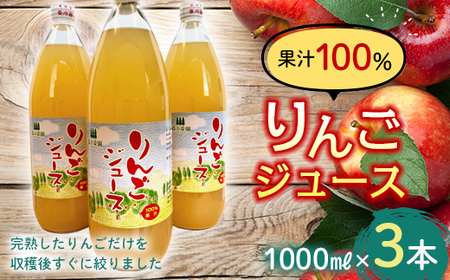果汁100% りんごジュース (1000ml瓶×３本) 【森の菜園】 F21U-192